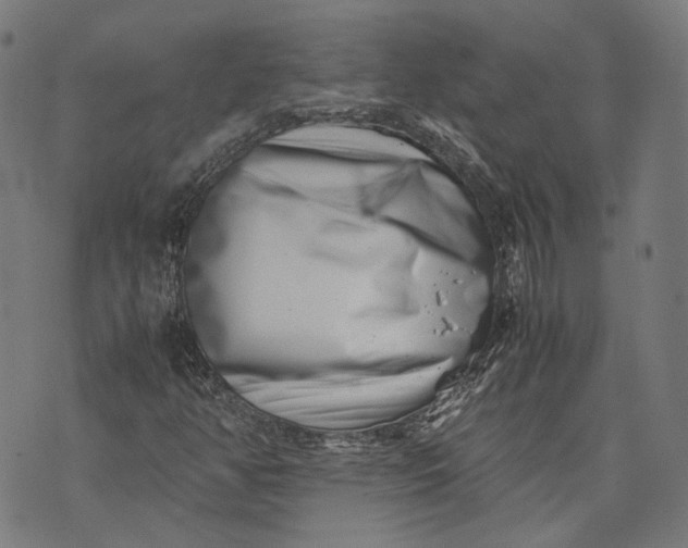 X0000074211350200609081521