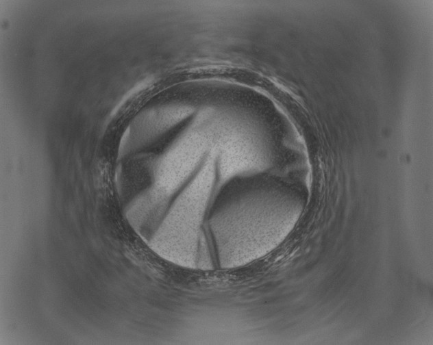 X0000074211351200609081521