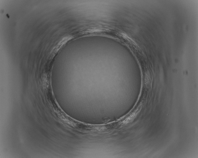 X0000074211353200609081521