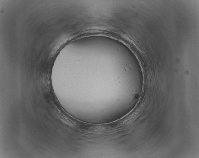 X0000074211355200609081520