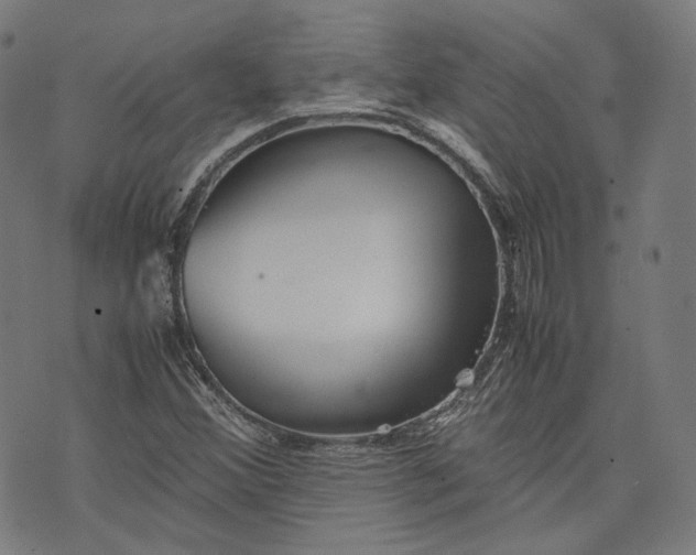 X0000074211356200609081520