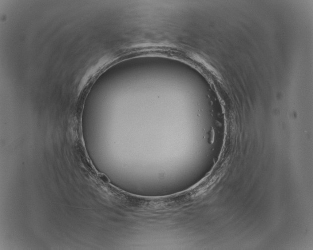 X0000074211357200609081520