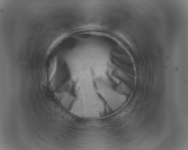 X0000074211358200609081520