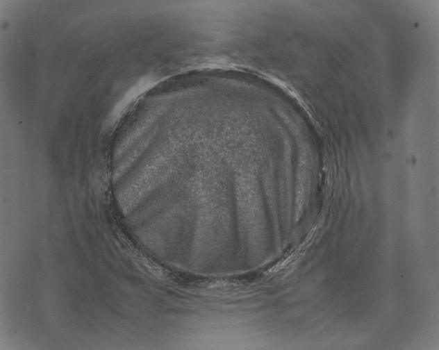 X0000074211359200609081520