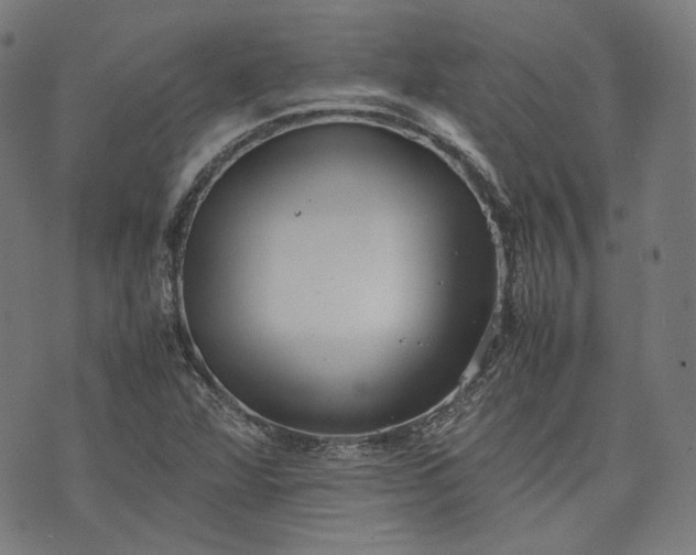 X0000074211360200609081520