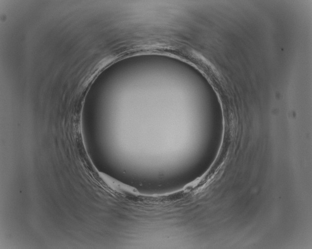 X0000074211361200609081520