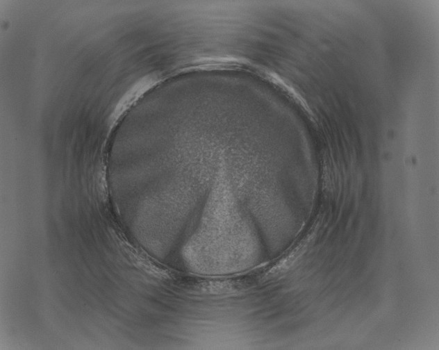 X0000074211362200609081520