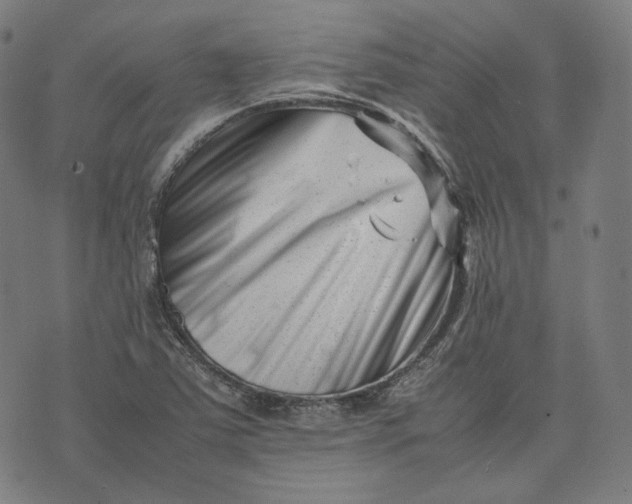 X0000074211363200609081520