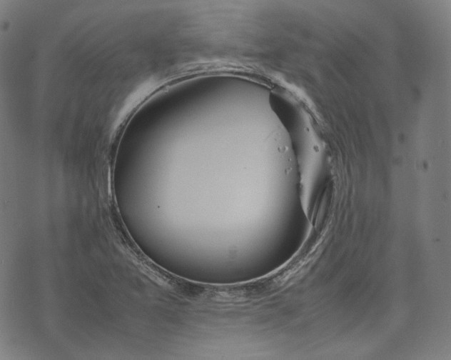 X0000074211365200609081520