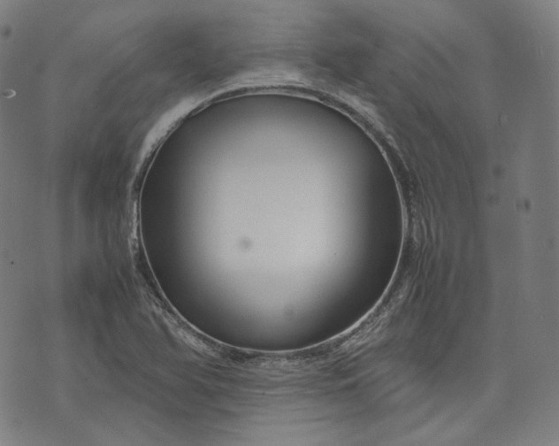 X0000074211366200609081520