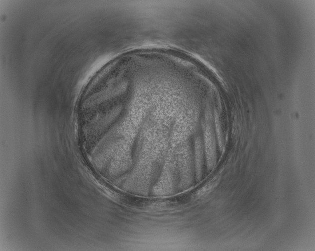 X0000074211367200609081520