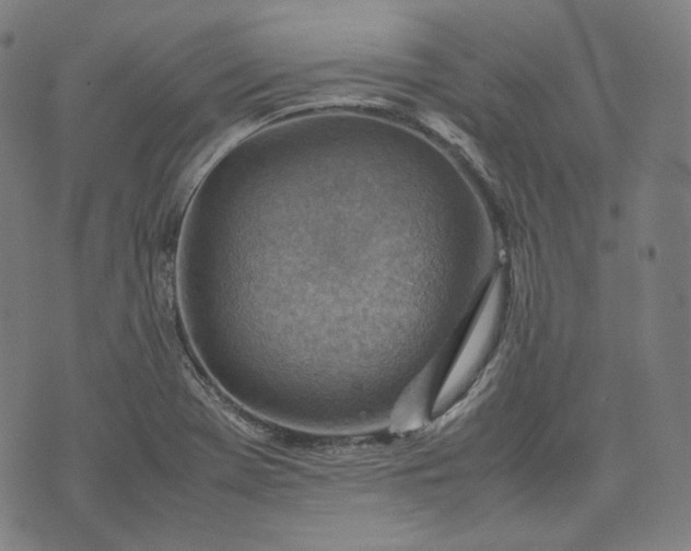 X0000074211369200609081520