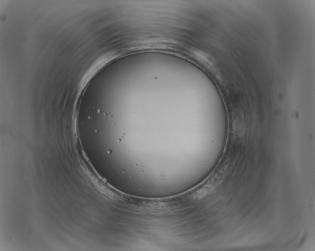 X0000074211370200609081520