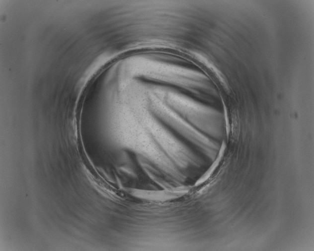 X0000074211372200609081520