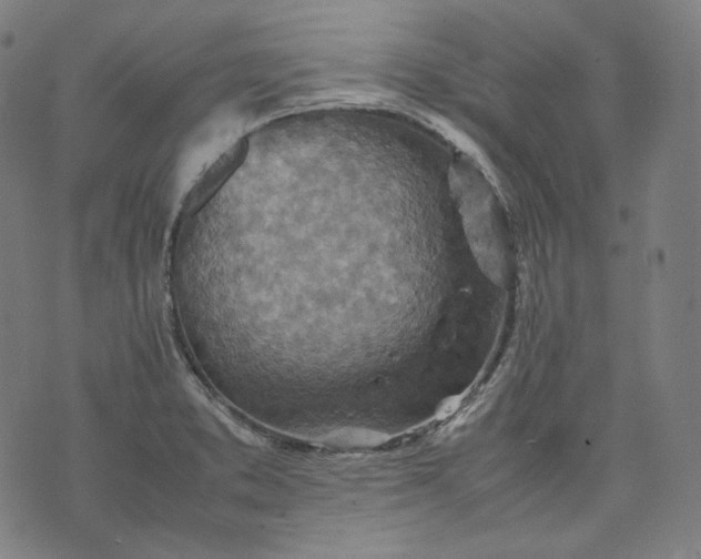 X0000074211373200609081520