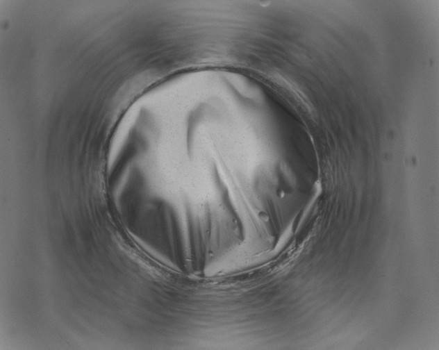 X0000074211374200609081520