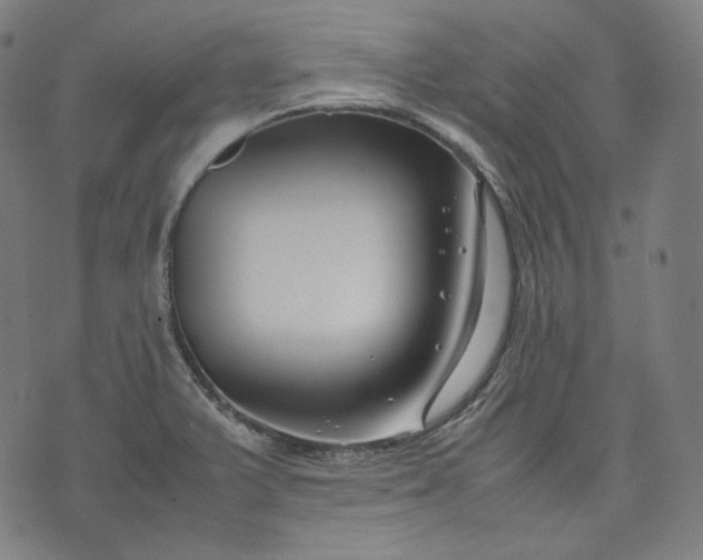 X0000074211375200609081520