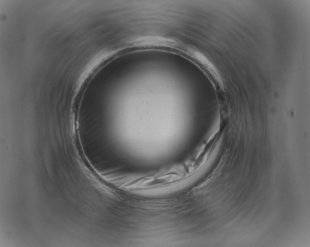 X0000074211376200609081520