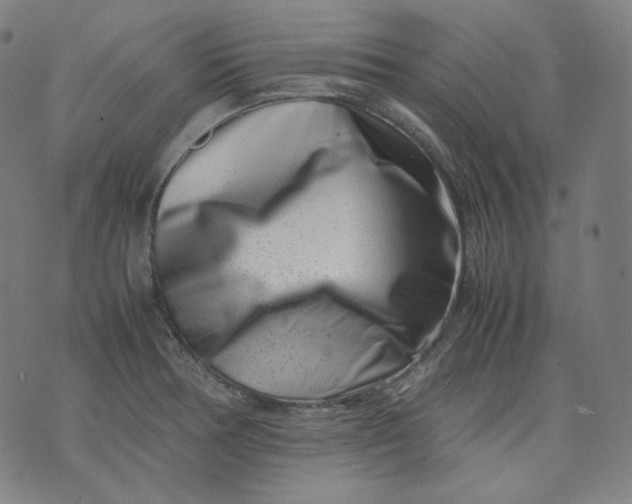 X0000074211378200609081520