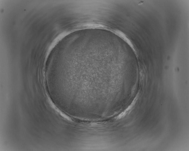 X0000074211381200609081520