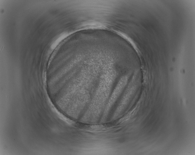 X0000074211383200609081520