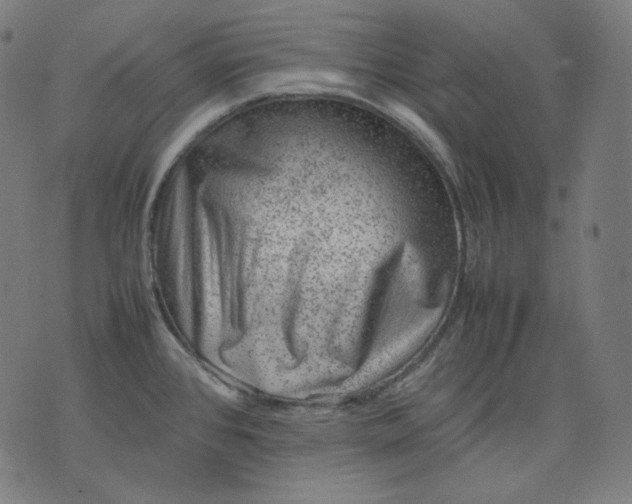 X0000074211384200609081520