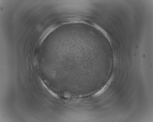 X0000074211385200609081520