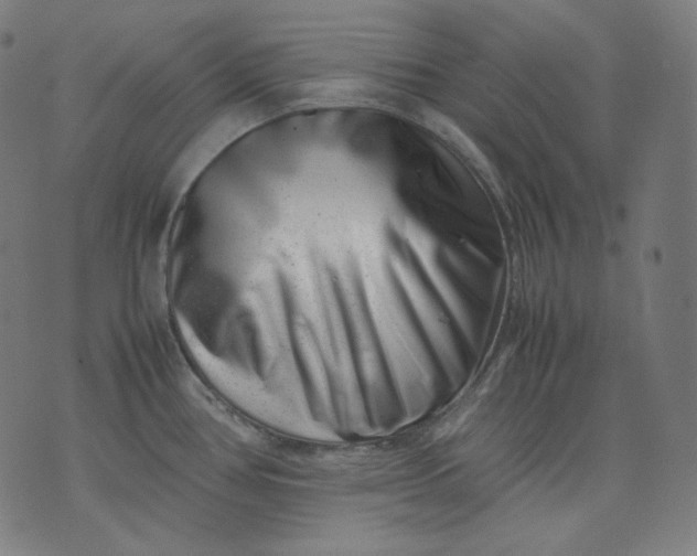 X0000074211386200609081520