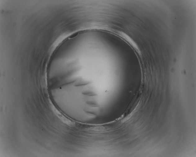 X0000074211388200609081520