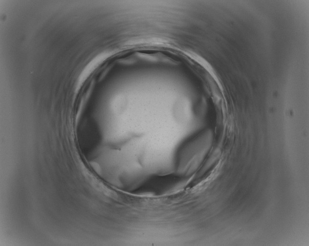 X0000074211389200609081520