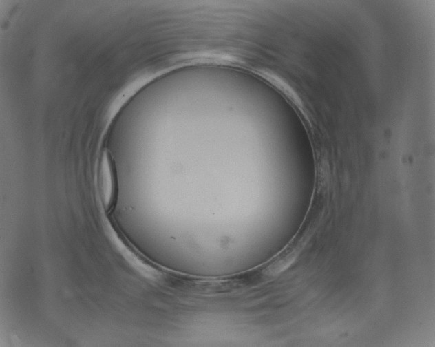 X0000074211391200609081520