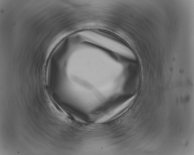 X0000074211392200609081520