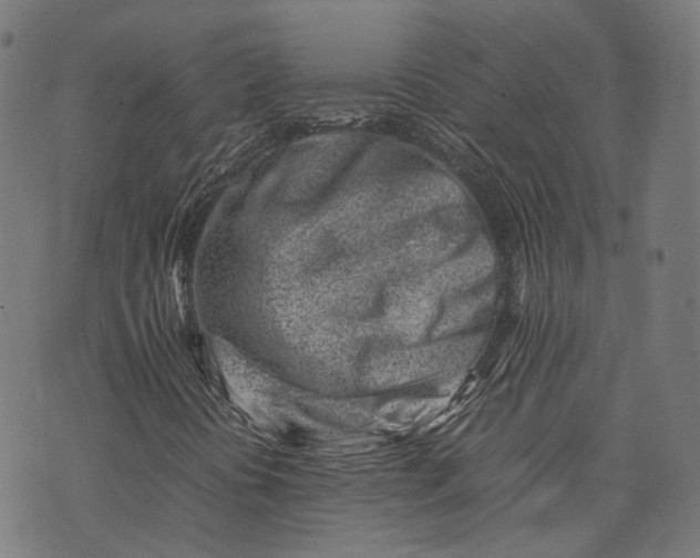 X0000074211394200609081519