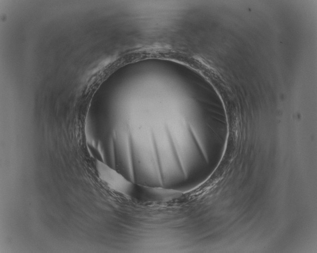 X0000074211398200609081519
