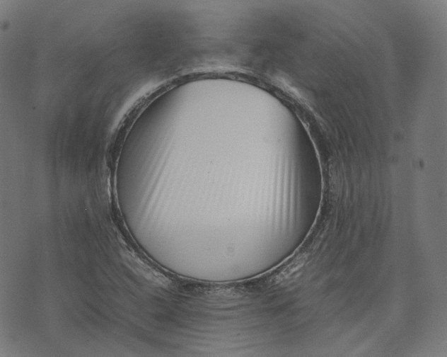 X0000074211408200609081519