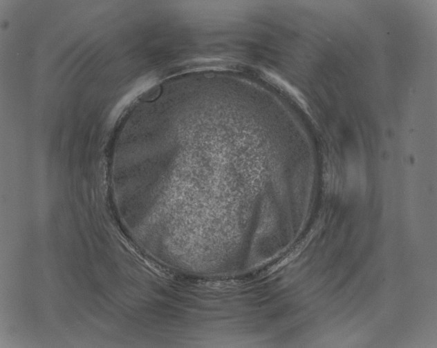 X0000074211411200609081519