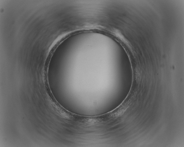 X0000074211412200609081519