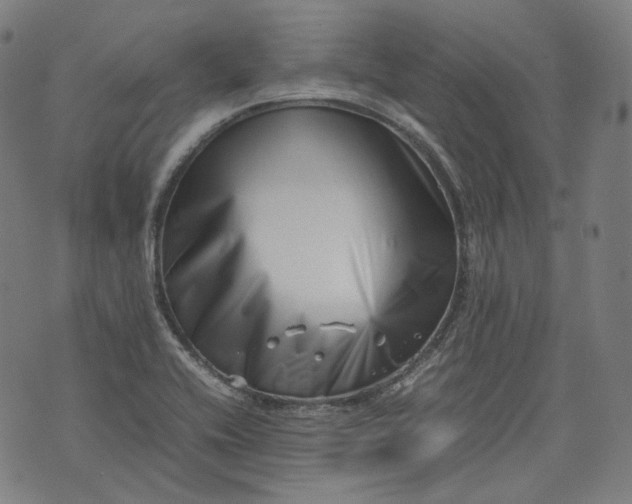 X0000074211416200609081519