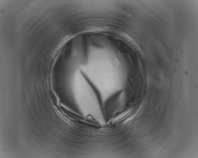 X0000074211417200609081520