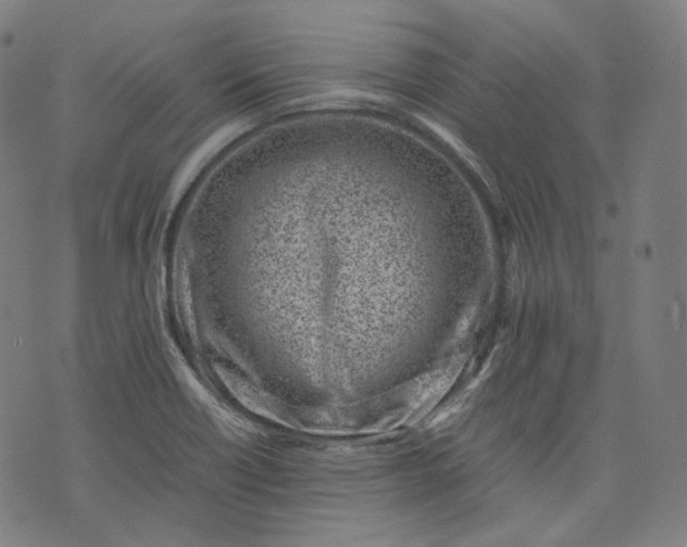 X0000074211418200609081520