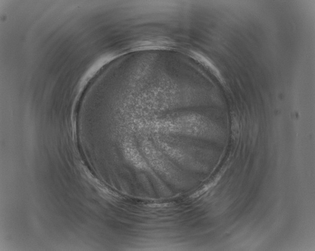 X0000074211419200609081520