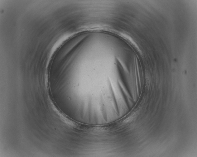 X0000074211424200609081520