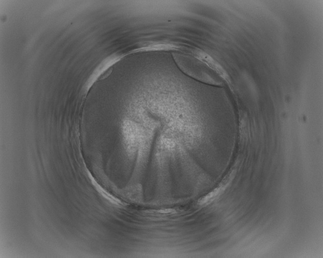 X0000074211425200609081520