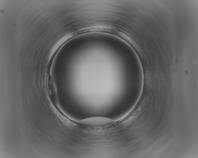 X0000074211426200609081520