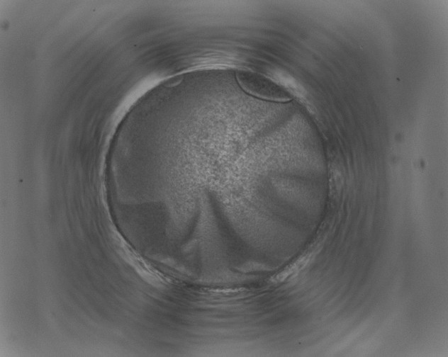 X0000074211427200609081520