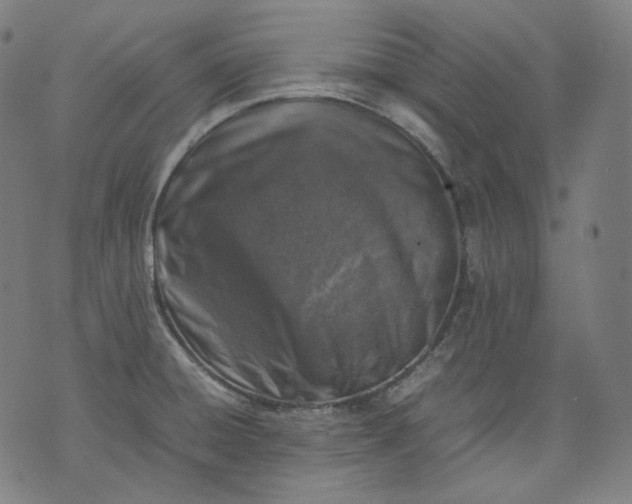 X0000074211428200609081520