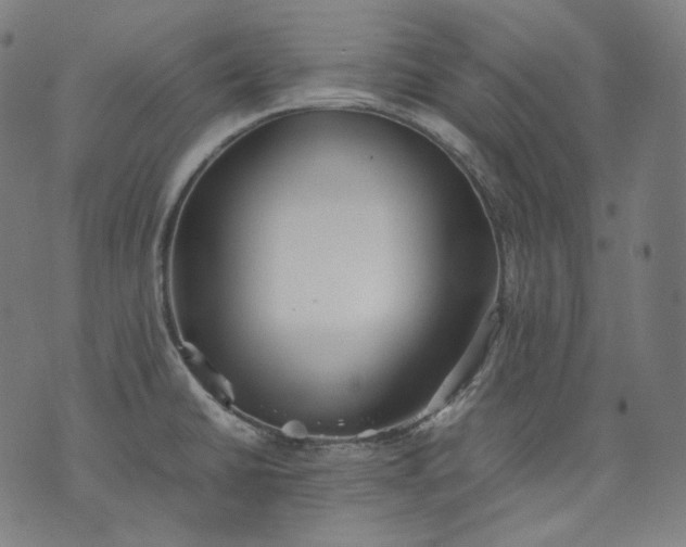 X0000074211430200609081520