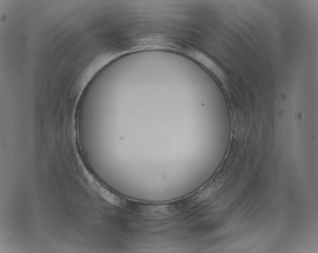 X0000074211431200609081520