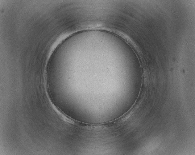 X0000074211432200609081520