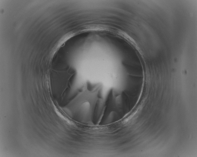 X0000074211433200609081520